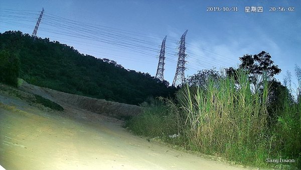 capimg_2056038531_432634976.jpg